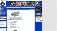 Desktop Screenshot of pembroketitanssoftball.com